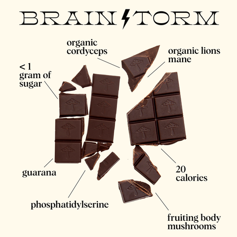 Brainstorm — mushroom chocolate supplement for focus