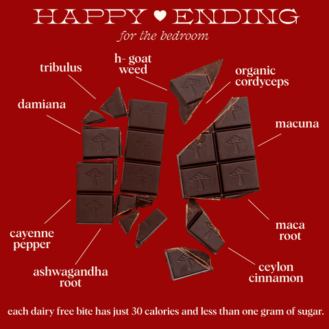 Happy Ending - mushroom chocolate supplement for wellness