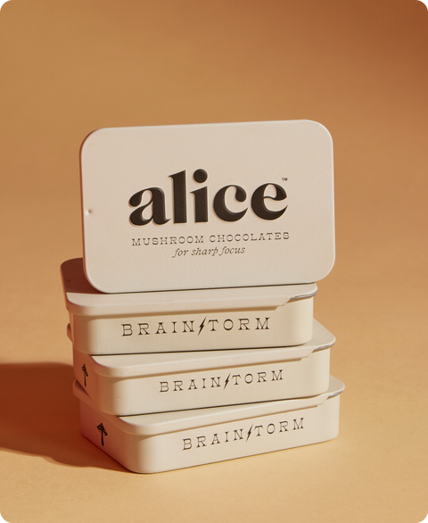 Brainstorm — mushroom chocolate supplement for focus