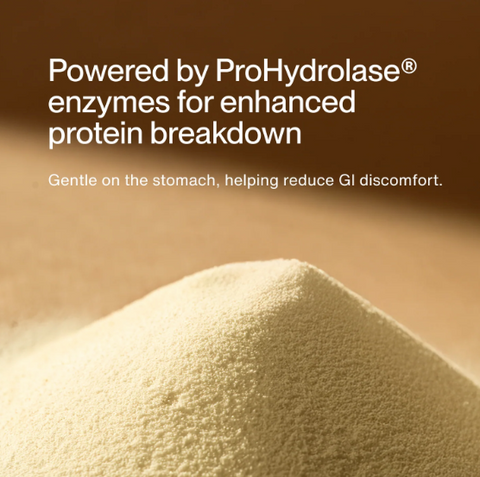 Grass-Fed Whey Protein Isolate Powder - Chocolate