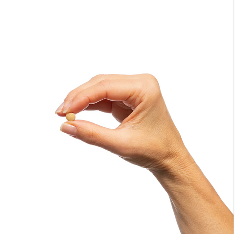 Milk Thistle Extract (90 tablets) — Metagenics