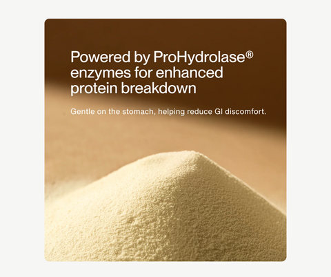 Grass-Fed Whey Protein Isolate Powder - Vanilla