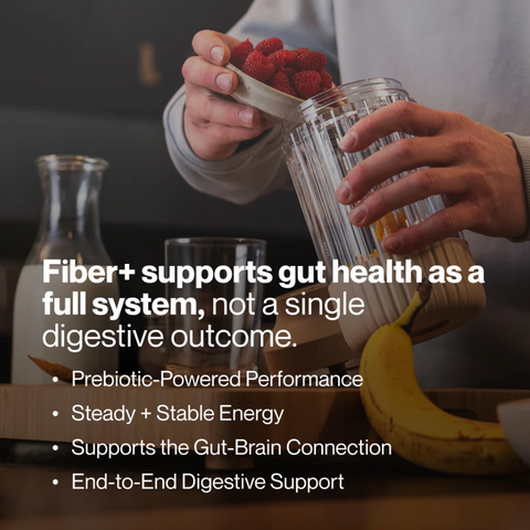 Fiber+ 10-Travel Packs