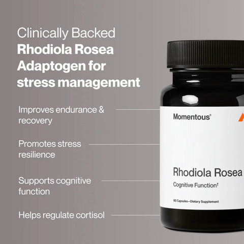 Rhodiola Rosea