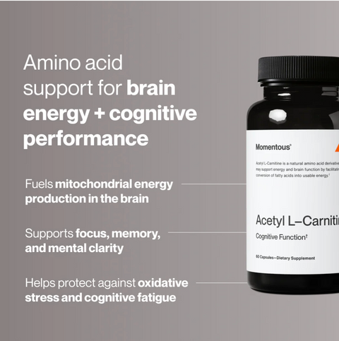Acetyl L-Carnitine